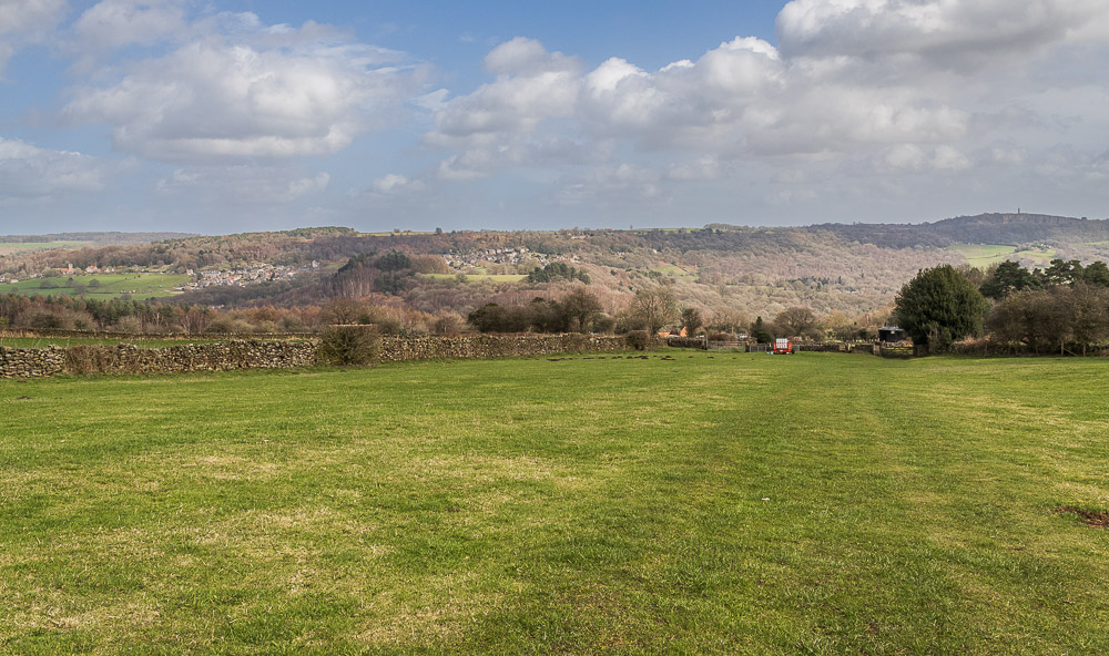 Leashaw Wood